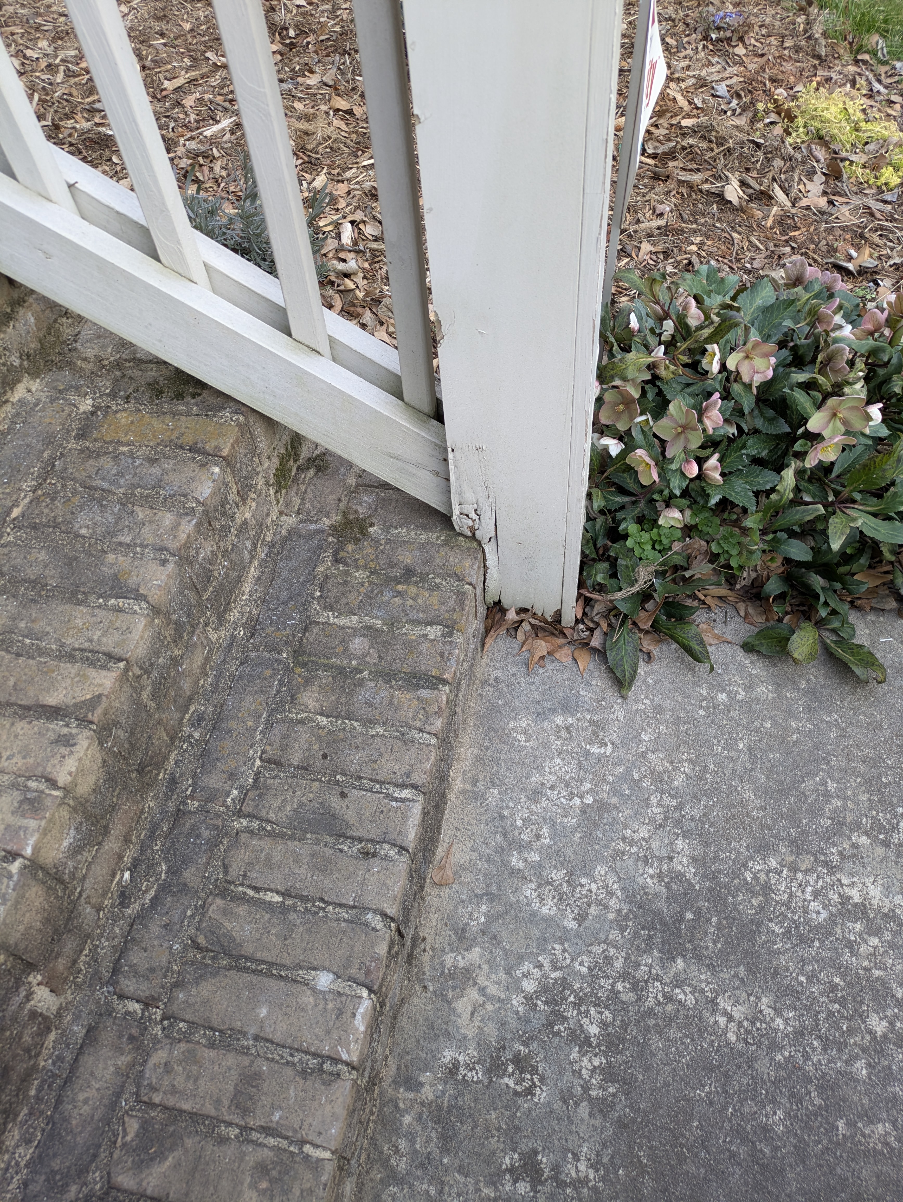 View of bathroom tile transition to hardwood floors